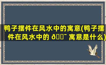 鸭子摆件在风水中的寓意(鸭子摆件在风水中的 🐯 寓意是什么)